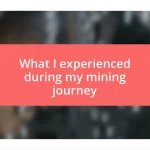 What I experienced during my mining journey